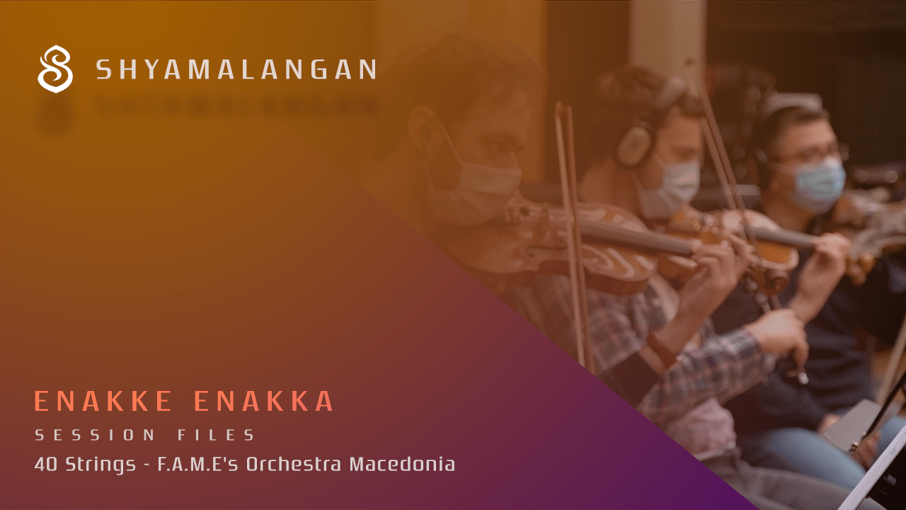 40 Strings - F.A.M.Es Orchestra Macedonia